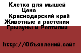 Клетка для мышей › Цена ­ 1 000 - Краснодарский край Животные и растения » Грызуны и Рептилии   